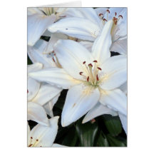 Group of White Lilies Card