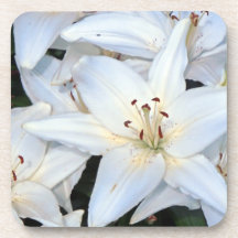 Group of White Lilies Coasters