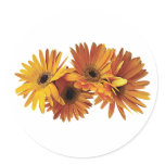 Group of Yellow Gerbera Daisies stickers
