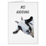 GROUP SAYS NO KIDDING "40th" Card