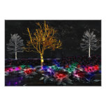 Grove of Living Gems Photo Print