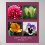 Grow A Little More Every Day