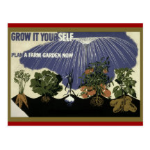 GROW IT YOURSELF - GARDEN POST CARDS