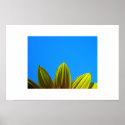 Grow posters