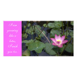 Growing like a lotus photo cards