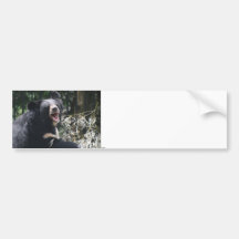 Growling Bear Bumper Sticker