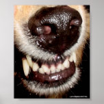 GROWLING DOG TEETH PRINT