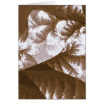 Growth 1 Brown Cards