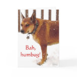 Grumpy Bah, Humbug! Cattle Dog - Western Holidays cards