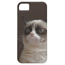 Grumpy Cat Glare Case For The iPhone 5