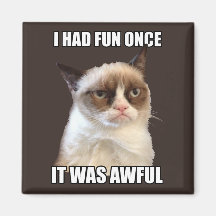 Grumpy Cat - I had fun once Magnets