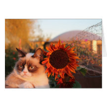 Grumpy Cat Sunflower Note Cards