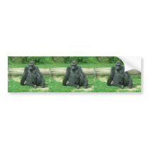 Grumpy Lowland Gorilla Bumper Sticker