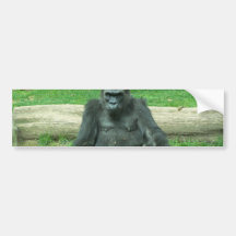 Grumpy Lowland Gorilla Bumper Stickers