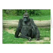 Grumpy Lowland Gorilla Card