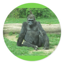 Grumpy Lowland Gorilla Sticker