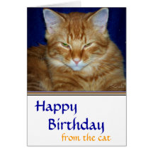 Grumpy Tabby Cat  Birthday Card