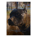 Grunge American Staffordshire Terrier Pitbull Card