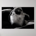 Grunge BW Pointe (Ballet) Shoes posters