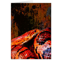 Grunge Corn Snake Coiled Cards