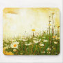 Grunge Daisies