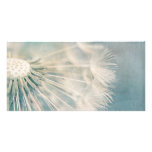Grunge Dandelion Photo Cards