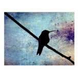 Grunge Hummingbird Postcard