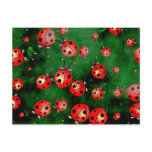 Grunge Ladybugs Post Card