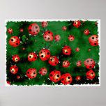 Grunge Ladybugs posters