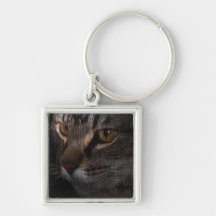 Grunge Tabby Cat Face in Shadow Key Chain