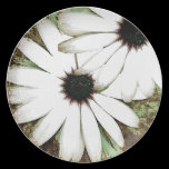 grungy daisys plates