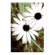 grungy daisys postcards
