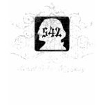 Grungy Graphic Hwy 542 t-shirts