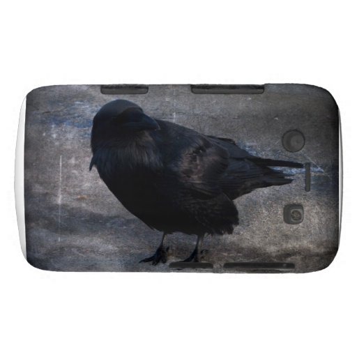 Grungy Raven; No Text Blackberry Bold Covers