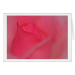 Grusskarte rote Rose