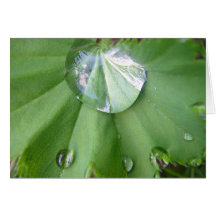 Grusskarte Wassertropfen mit Spiegelungen, blanko