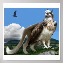 Gryphon square Poster