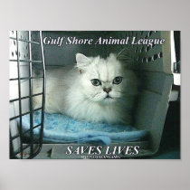 GSAL SAVES LIVES Poster