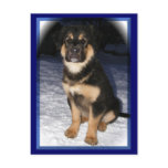 GSD Mix postcards