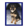 GSD Mix postcards