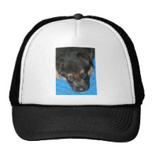GSD Puppy "Sleepy Diesel" Trucker Hat