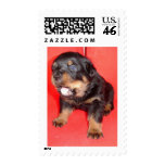 Guard Duty Postage