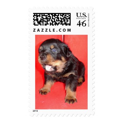 Guard Duty Postage by taiche