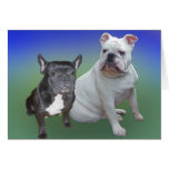 Guardian Bulldogs cards