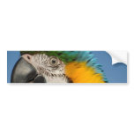 Guardian Macaw bumper stickers