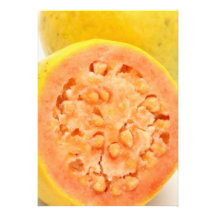 Guava fruits custom announcement