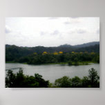 Guaycanes in Bloom Poster