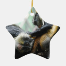 Guenon Monkeys Ornament