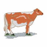 Guernsey Cow