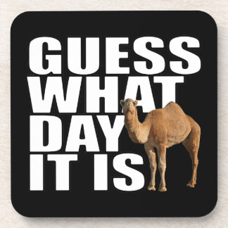 guess_what_day_it_is_hump_day_camel_beverage_coaster-r75c2e3fd1ad5496f9c838c856dde819f_ambkq_8byvr_324.jpg